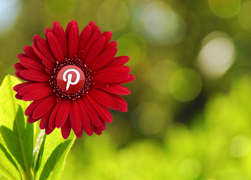 Как правильно&nbsp;работать с Pinterest
