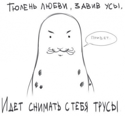 тюлень любви